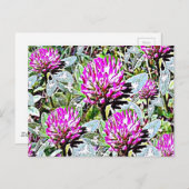 Vermont Red Clover Briefkaart (Voorkant / Achterkant)