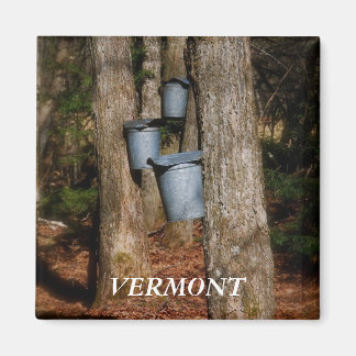 Vermont SAP emmers Magneet