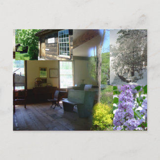 Vermont Spring Beauty Briefkaart