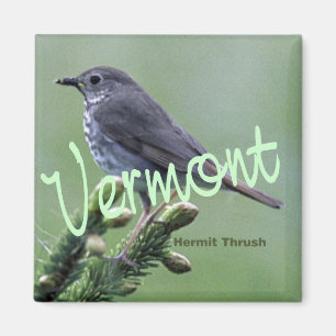 Vermont State Bird Hermit Thrush Fridge Magnet Magneet