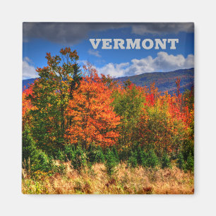 Vermont Travel Magnet die de kleurenveranderingen Magneet