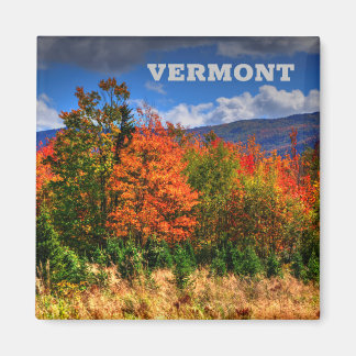 Vermont Travel Magnet die de kleurenveranderingen Magneet
