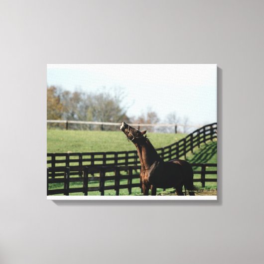 Vermont, VS 2 Canvas Afdruk (Voorkant)