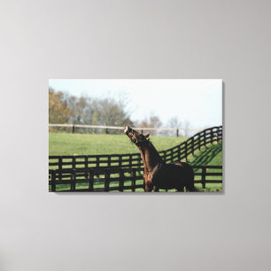 Vermont, VS 2 Canvas Afdruk