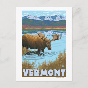VermontMoose Drink in het meer Briefkaart