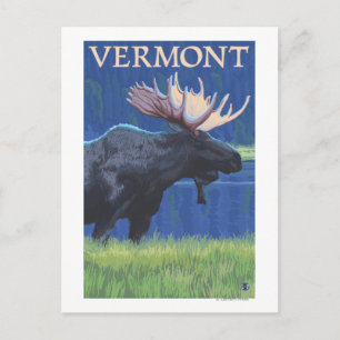 VermontMoose in het Moonlight Briefkaart
