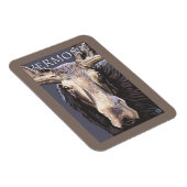 VermontMoose Up Close Magneet (Rechterzijde)