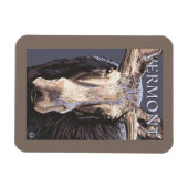 VermontMoose Up Close Magneet (Horizontaal)