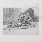 Vermont's Sneeuwwinter in B&W Briefkaart (Voorkant)