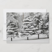 Vermont's Winter Wonderland in B&W Flat Kaart (Voorkant)