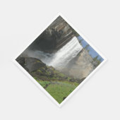 Vernale Herfsten I in het Nationaal Park Yosemite Servetten (Hoek)