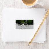 Vernale Herfsten op afstand bij Yosemite Etiket (Insitu)