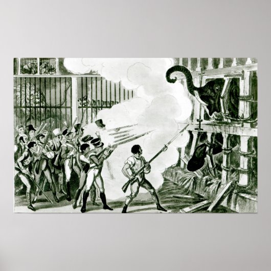 Vernietiging van de Furieuze olifant bij Exeter Poster (Voorkant)