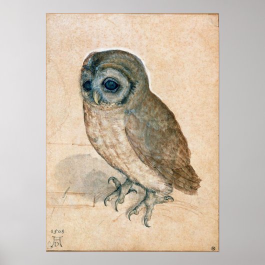 VERNIEUWING VAN DIERENTEKENINGEN / HET OWL POSTER (Voorkant)
