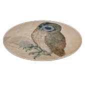 VERNIEUWING VAN DIERENTEKENINGEN / HET OWL SNIJPLANK (Hoek)