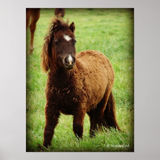 Verondersteld Mini Poster (Voorkant)