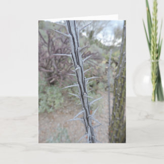 verontschuldiging kaart