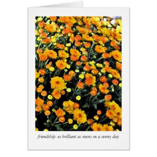 Verordening (nr. 0732)