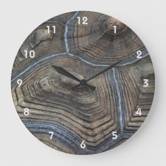 Verouderde Tortoiseshell Fotografisch Grote Klok (Voorkant)