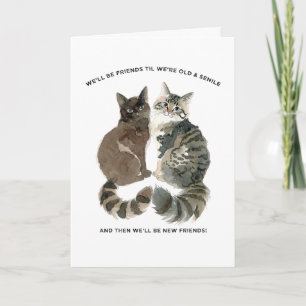 Verouderende humor voor kat-lievende vrienden vrou kaart