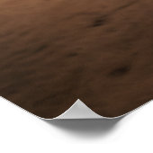 Verover het Colosseum: Oude Gladiator Arena Pos Poster (Hoek)