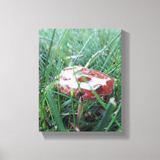 Verpakking Canvas Afdruk (Voorkant)