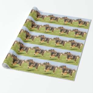 Verpakking met Duits Shepherd Dog Alsatian Cadeaupapier