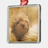 Verpakking Metalen Ornament (Links)