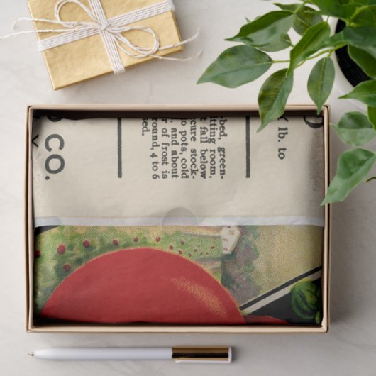  verpakking tomaat en instructies tissuepapier (Geschenk)