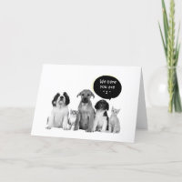VERPAKKING VAN PUPPIES ZEGGEN "1e" MAANDAG