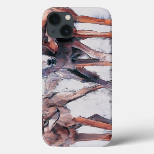 Verpakkingsbladen 2001 Case-Mate iPhone case (Achterkant)