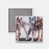 Verpakkingsbladen 2001 magneet (Voorkant / Achterkant)