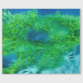 Verpakkingspapier Cadeaupapier (Vlak)