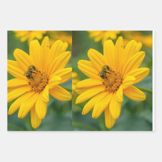 Verpakkingspapier Inpakpapier Vel