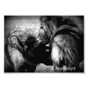 Verpleegkunde Foto Afdruk