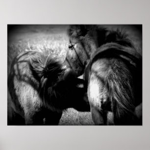 Verpleegkunde Poster