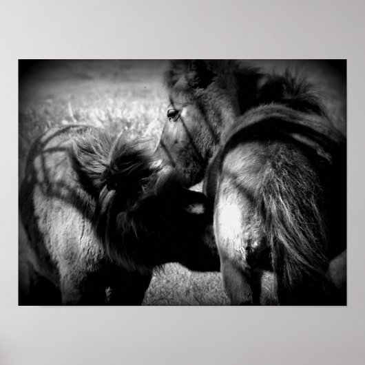 Verpleegkunde Poster (Voorkant)