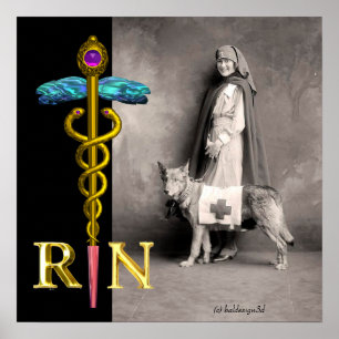 VERPLEEGKUNDIGE EN REDDINGSHOND /Gouden Caduceus R Poster