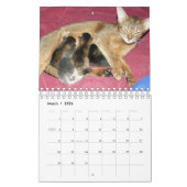 Verpleegmoeders Dier Kalender (Mar 2026)