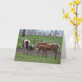 Verpleegveulens Kaart (Gele Bloem)