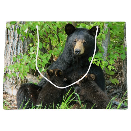 Verpleegzwart Beer en dubbele kubussen Groot Cadeauzakje (Voorkant)