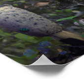 VERPLICHTING VAN DE SCHIJNEN POSTER (Hoek)