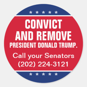 Verraad en verwijder senaat President Donald Trump Ronde Sticker
