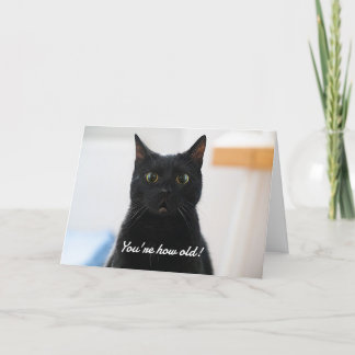 Verrassde kat Funny Birthday Feestdagen Kaart