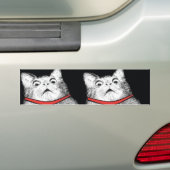 Verrassde kattenbonte thema - Bumpersticker (Op auto)