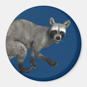 Verrassde Raccoon Magneet