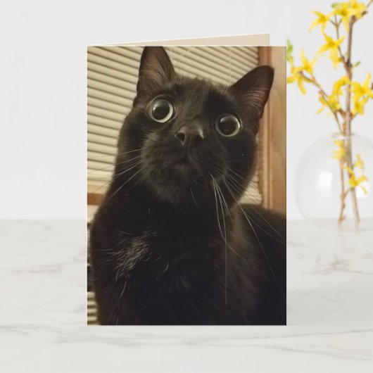 Verrassde zwarte kat-kaart kaart (Gele Bloem)