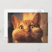 Verrassende kat postkaart. briefkaart (Voorkant / Achterkant)
