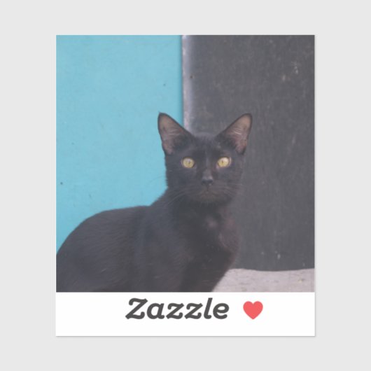 Verrassende zwarte kat sticker (Vel)