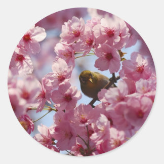 Verrassing! Ronde Sticker